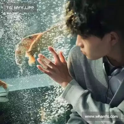 胡煜保